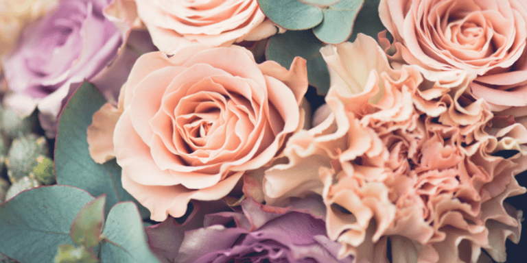 12 Flores y sus significados