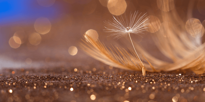 ¿Cómo entender el significado de mis sueños? — 4