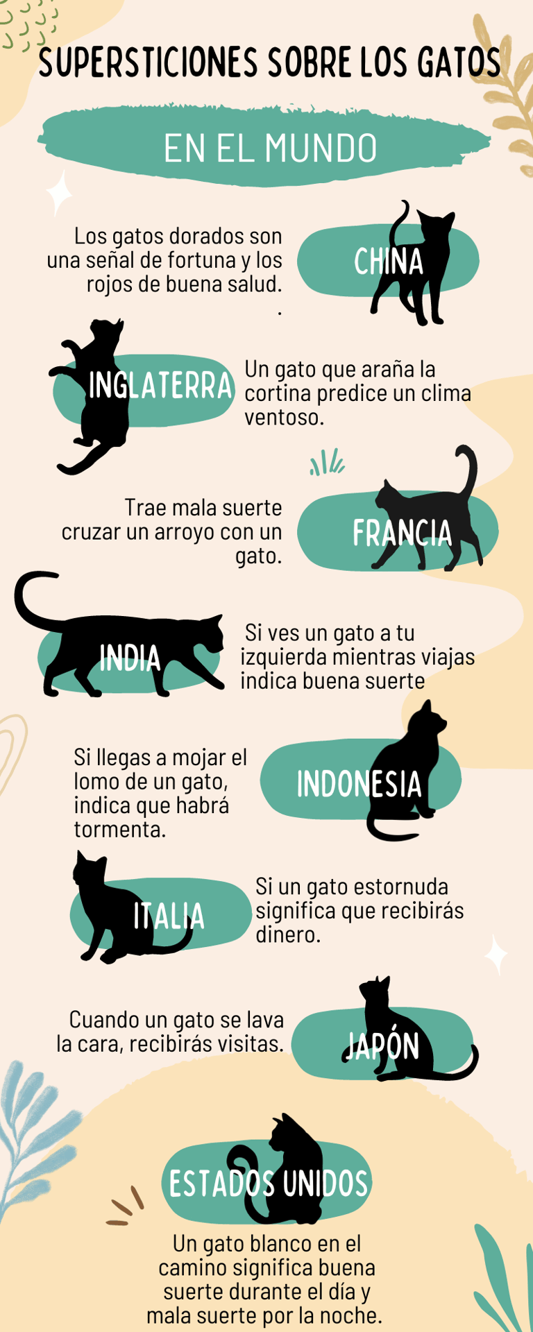 El significado espiritual de los gatos — 7